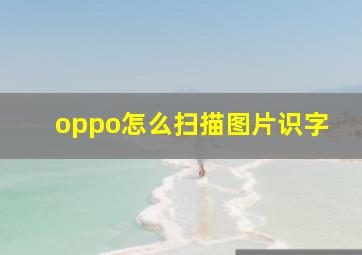 oppo怎么扫描图片识字