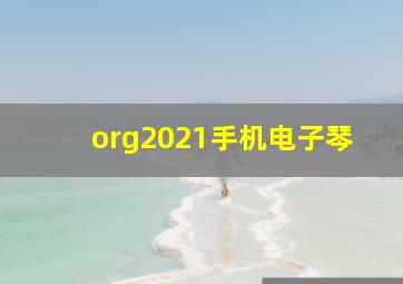 org2021手机电子琴