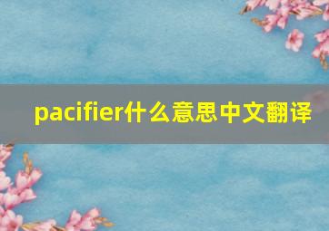 pacifier什么意思中文翻译