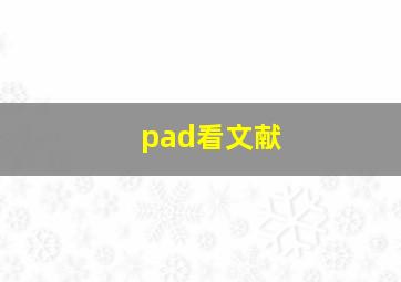 pad看文献