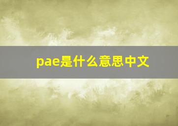 pae是什么意思中文