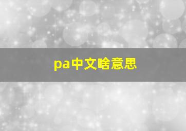 pa中文啥意思