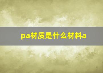 pa材质是什么材料a