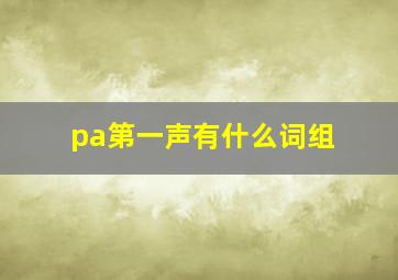 pa第一声有什么词组