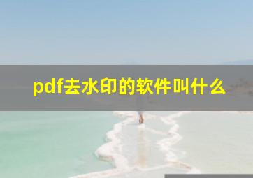 pdf去水印的软件叫什么