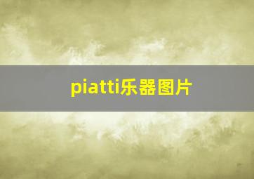 piatti乐器图片