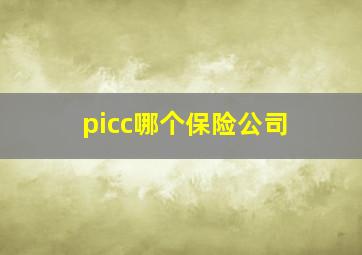 picc哪个保险公司