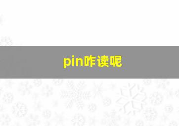 pin咋读呢