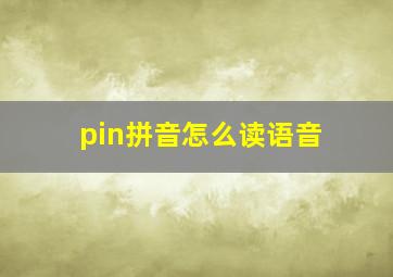 pin拼音怎么读语音