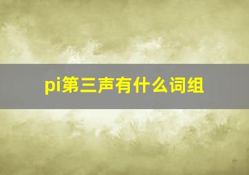 pi第三声有什么词组