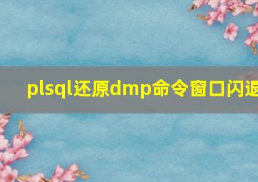 plsql还原dmp命令窗口闪退