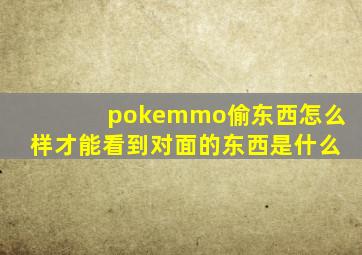 pokemmo偷东西怎么样才能看到对面的东西是什么