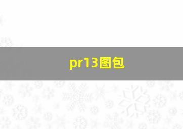 pr13图包