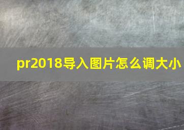 pr2018导入图片怎么调大小