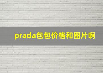 prada包包价格和图片啊