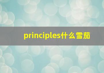 principles什么雪茄