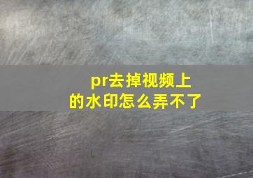 pr去掉视频上的水印怎么弄不了