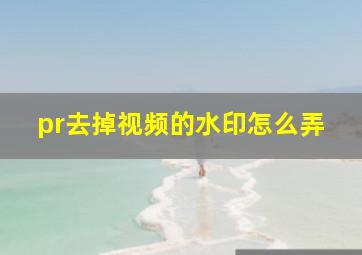 pr去掉视频的水印怎么弄