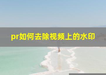 pr如何去除视频上的水印