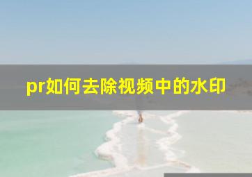 pr如何去除视频中的水印