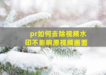 pr如何去除视频水印不影响原视频画面