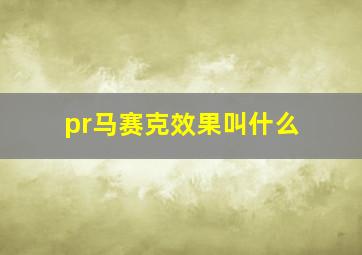 pr马赛克效果叫什么