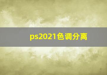 ps2021色调分离