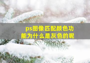 ps图像匹配颜色功能为什么是灰色的呢