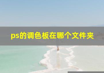 ps的调色板在哪个文件夹