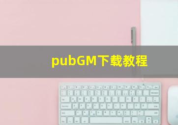 pubGM下载教程