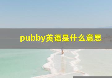 pubby英语是什么意思