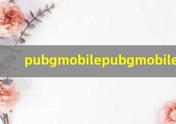 pubgmobilepubgmobile国际版