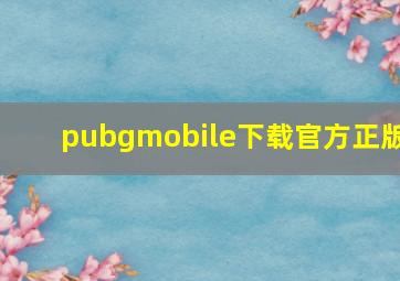 pubgmobile下载官方正版