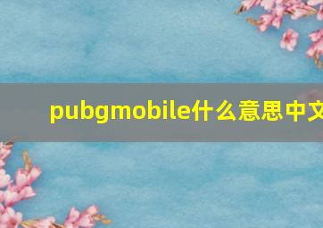 pubgmobile什么意思中文