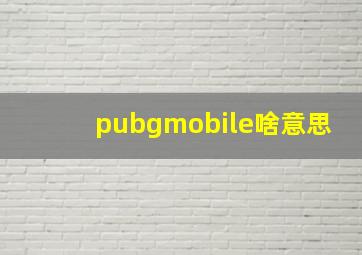 pubgmobile啥意思