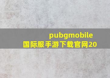 pubgmobile国际服手游下载官网20