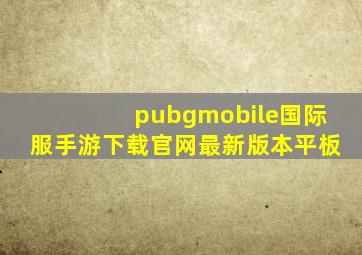 pubgmobile国际服手游下载官网最新版本平板