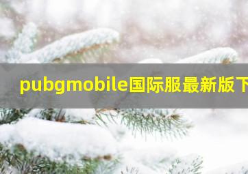 pubgmobile国际服最新版下载