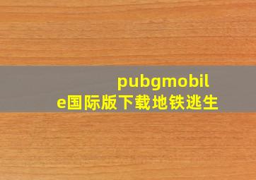 pubgmobile国际版下载地铁逃生