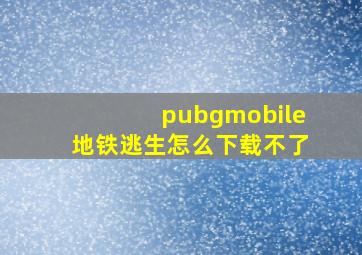 pubgmobile地铁逃生怎么下载不了