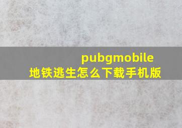 pubgmobile地铁逃生怎么下载手机版