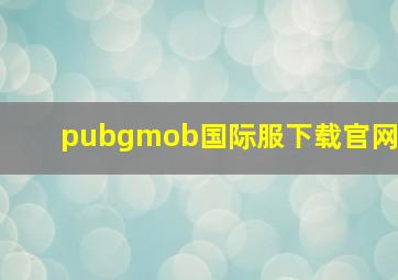 pubgmob国际服下载官网