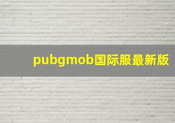 pubgmob国际服最新版