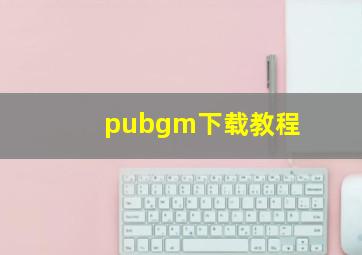 pubgm下载教程