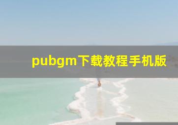 pubgm下载教程手机版