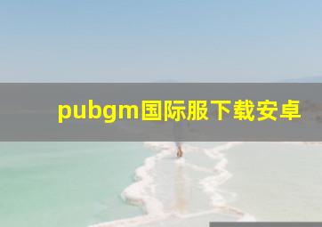 pubgm国际服下载安卓