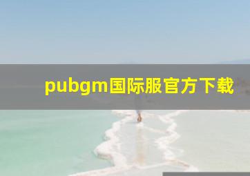 pubgm国际服官方下载