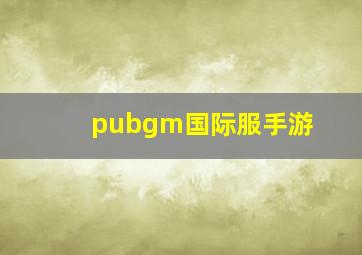 pubgm国际服手游