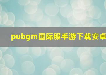 pubgm国际服手游下载安卓