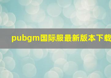 pubgm国际服最新版本下载